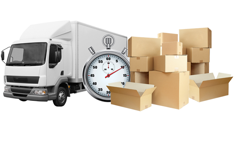 Treasure Movers - Moving Company, Long Distance Movers, Local Movers