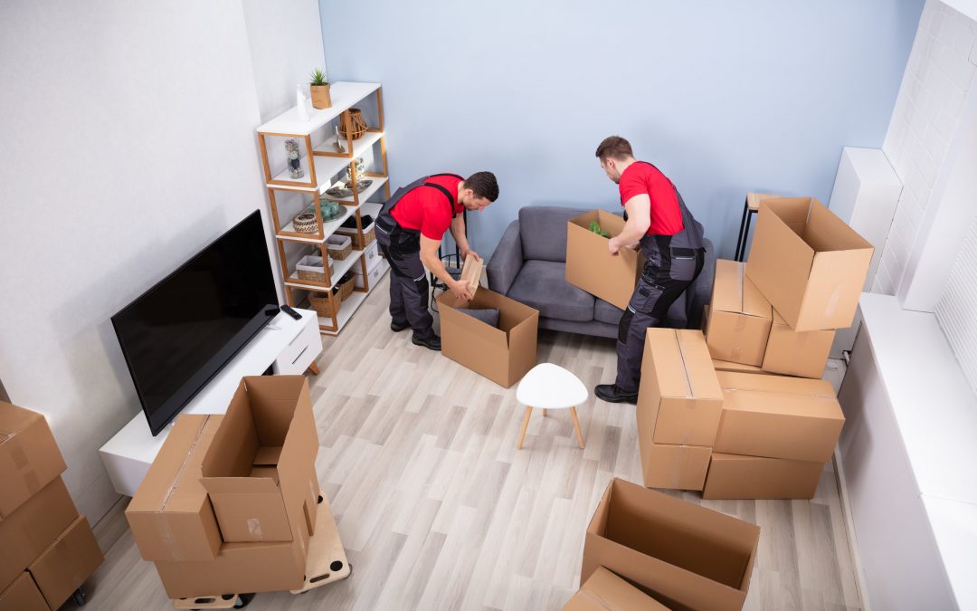 5 Useful Types of Services Offered by Movers