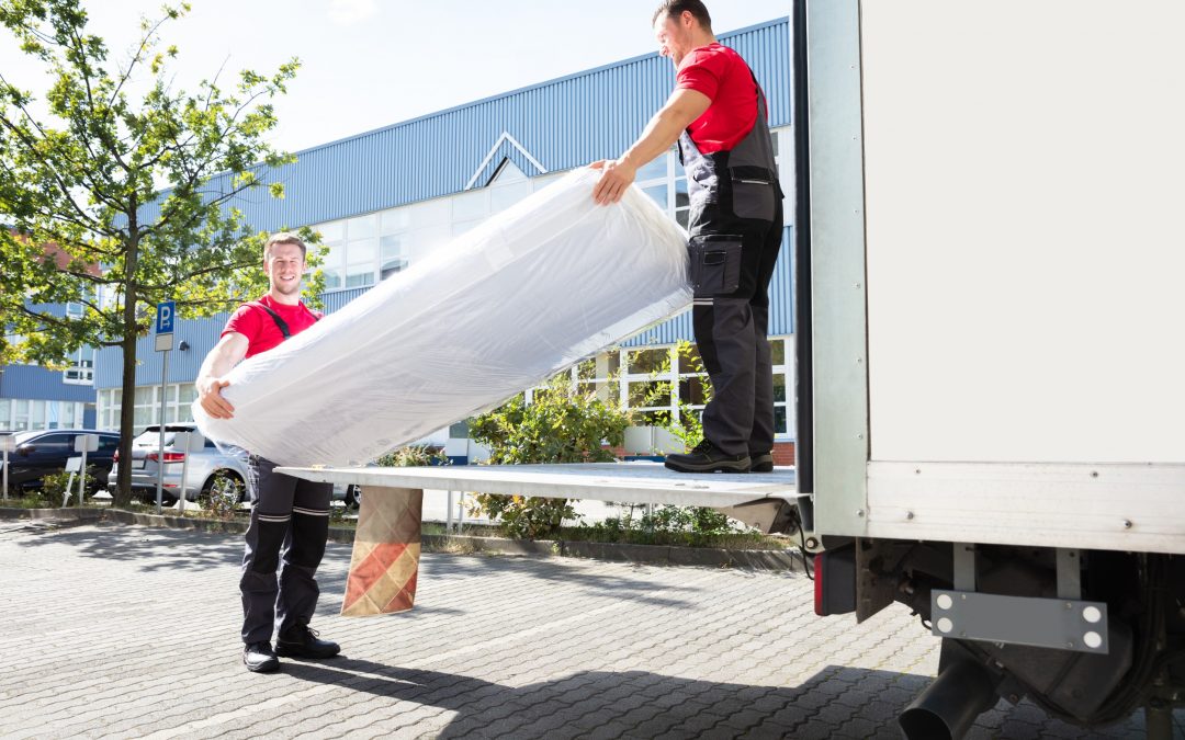 Why International Movers Differ from Local Movers