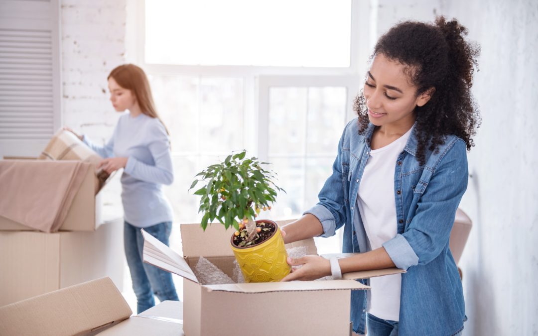 How to Move House Plants Across the Country